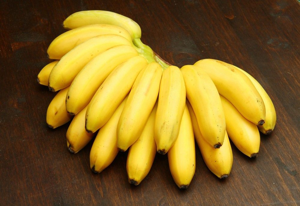 Cavendish banana exporter in middle east